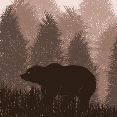 Animated brown bear in wild night forest foliage illustration clipart