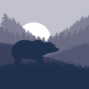 Animated brown bear in wild night forest foliage illustration clipart