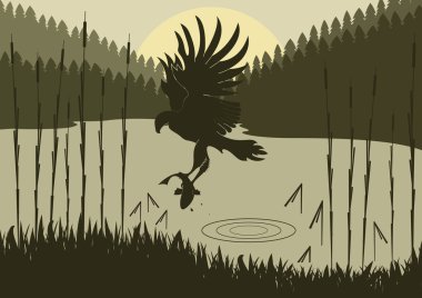 Animated osprey hunting fish in wild nature foliage illustration clipart