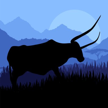 Angry bull in wild country side landscape illustration clipart