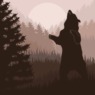 Animated brown bear in wild night forest foliage illustration clipart