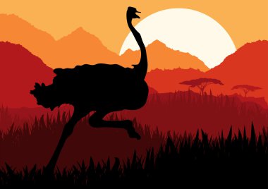 Animated running ostrich in wild nature landscape illustration clipart