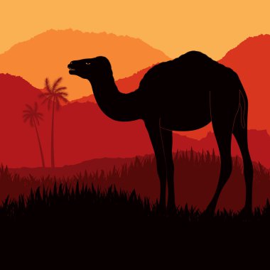 Animated dromedary camel in wild africa foliage clipart