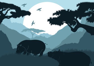 Animated hippopotamus couple in wild nature foliage illustration clipart