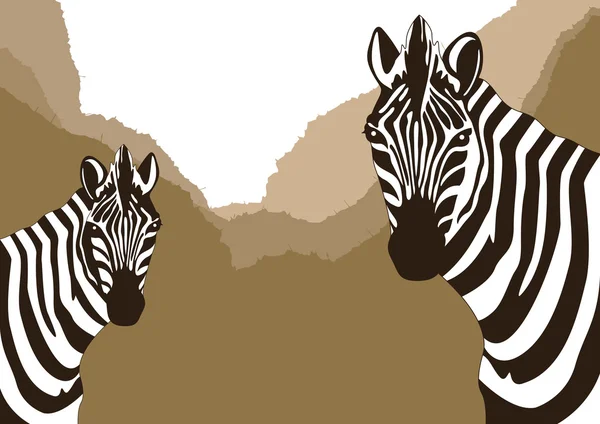 Animated zebras in African foliage — Stock Vector