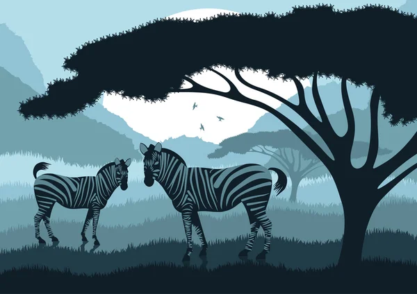 Animated zebra couple in wild nature landscape illustration — Stock Vector