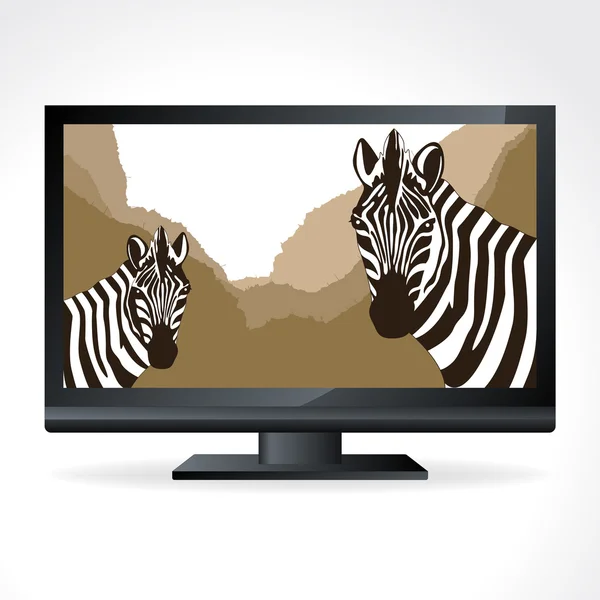 Casal de zebra animado em natureza selvagem paisagem ilustração —  Vetores de Stock