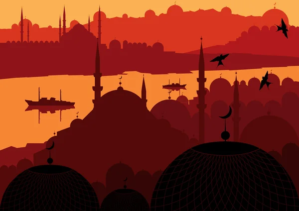 ビンテージ トルコ都市イスタンブールの風景イラスト — ストックベクタ