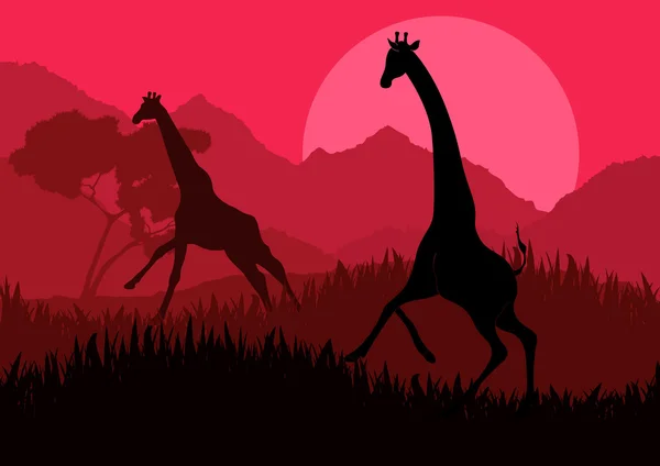 Romantic giraffe couple running in wild nature landscape illustration — Stock Vector