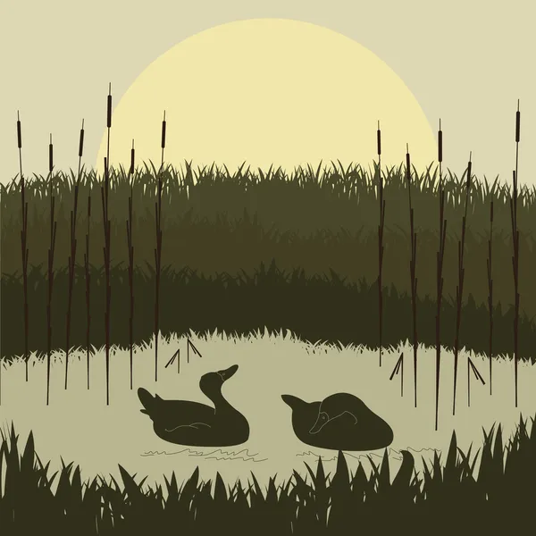 Casal de pato selvagem na folhagem do lago — Vetor de Stock