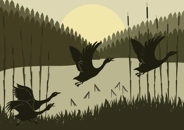 Bandada de gansos voladores animados en el follaje del bosque salvaje ilustración — Vector de stock