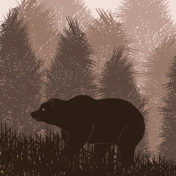Animovaný medvěd hnědý v divoké noci lesní zeleň ilustrace — Stockový vektor