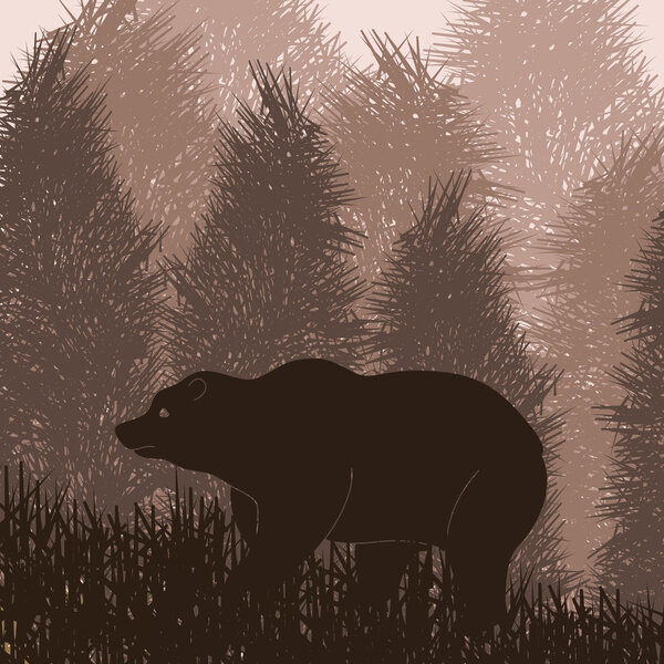 Animated brown bear in wild night forest foliage illustration