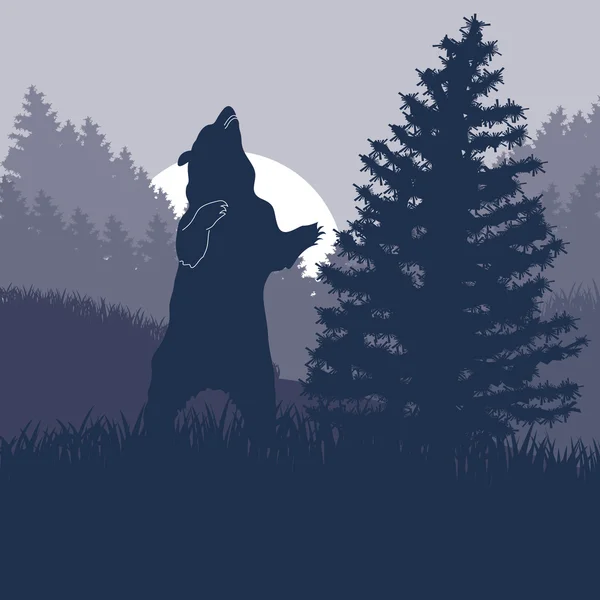 Animierter Braunbär im wilden nächtlichen Wald Laub Illustration — Stockvektor