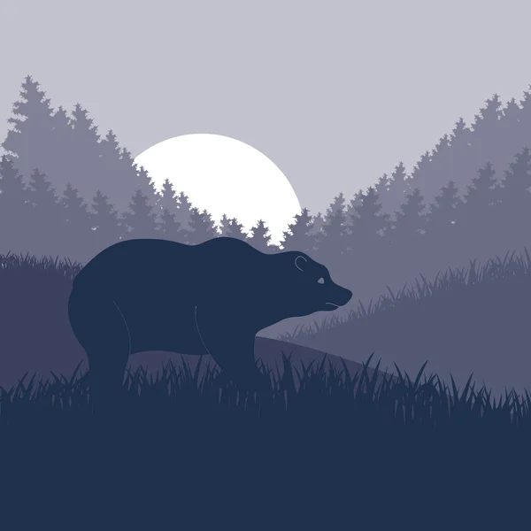 Ours brun animé dans une forêt sauvage nocturne illustration de feuillage — Image vectorielle