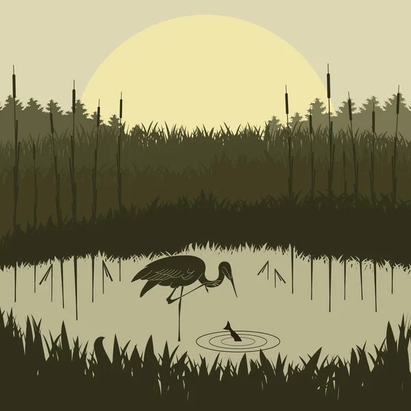 Heron em natureza selvagem folhagem ilustração — Vetor de Stock