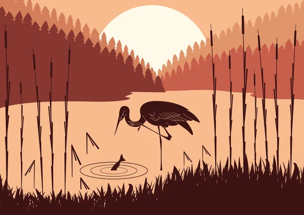 Heron em natureza selvagem folhagem ilustração —  Vetores de Stock