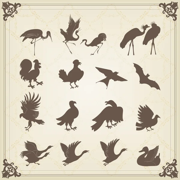 Vintage set of animals into frame — Stock Vector