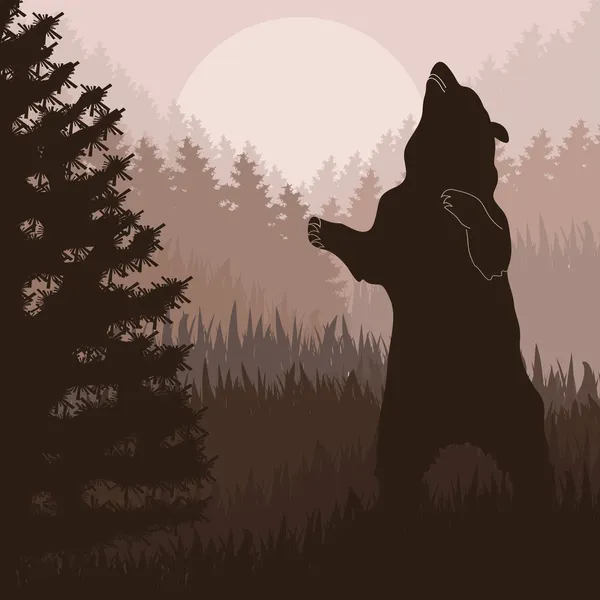 Oso pardo animado en bosque nocturno salvaje follaje ilustración — Archivo Imágenes Vectoriales