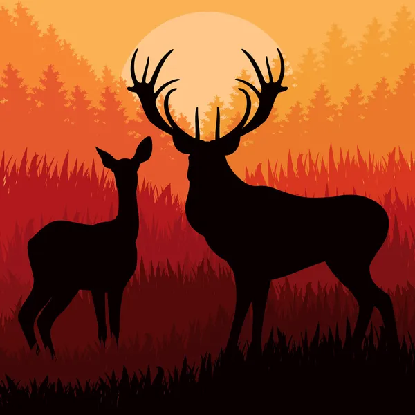 Animált szarvas a vad éjszaka erdei lomb illusztráció — Stock Vector