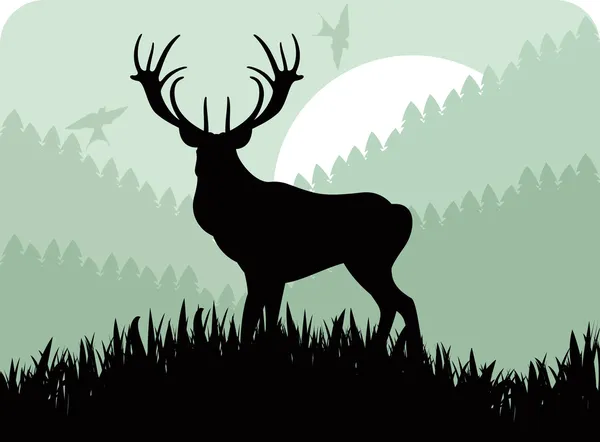 野生の森林葉図アニメーション雨の鹿 — ストックベクタ