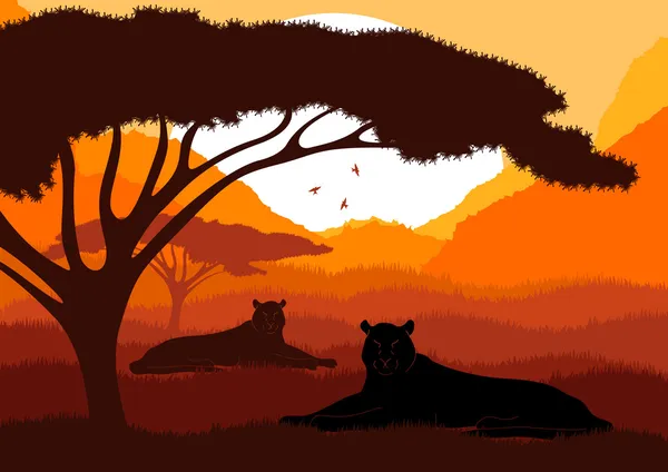 Lions animés dans les montagnes sauvages africaines illustration de feuillage — Image vectorielle