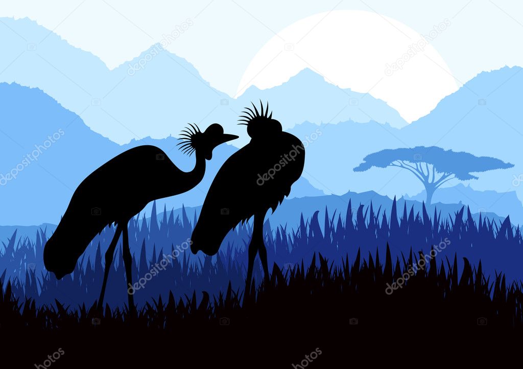 Animated crane couple in wild nature landscape illustration