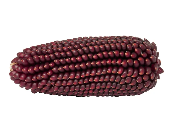 Brown corn — Stock Photo, Image