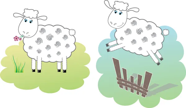 Две белые овцы, векторная иллюстрация — стоковый вектор