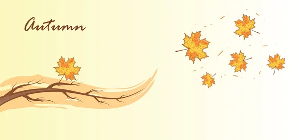 Kala gren och lönn löv, vektor illustration — Stock vektor