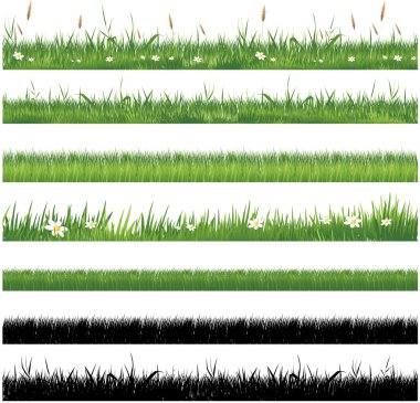 Green grass collection clipart