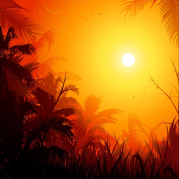 Jungle sunset bakgrund — Stock vektor