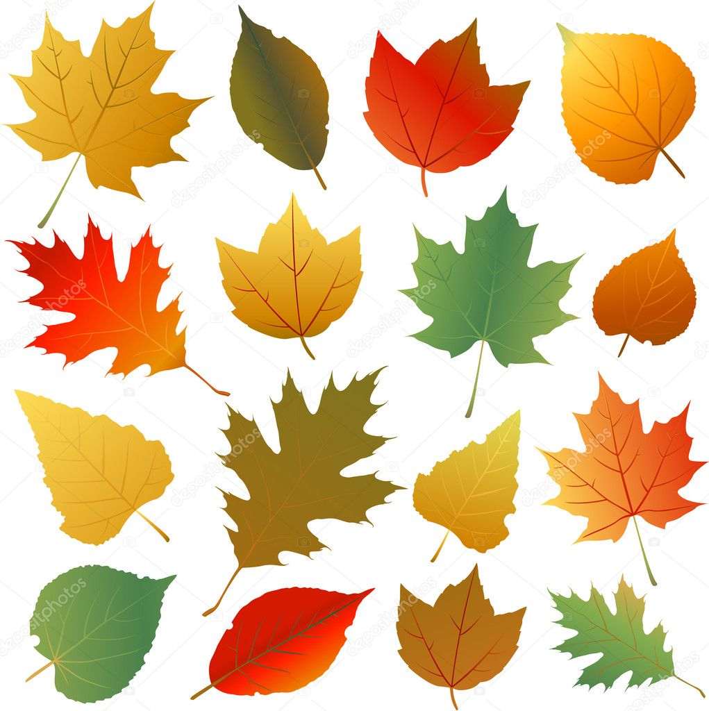 Собрать осенние листья. Осенние листья Графика красивое расположение. Медные осенние листочки в углу. Много листьев рисунок вектор. Осенние листья Графика интересное расположение.