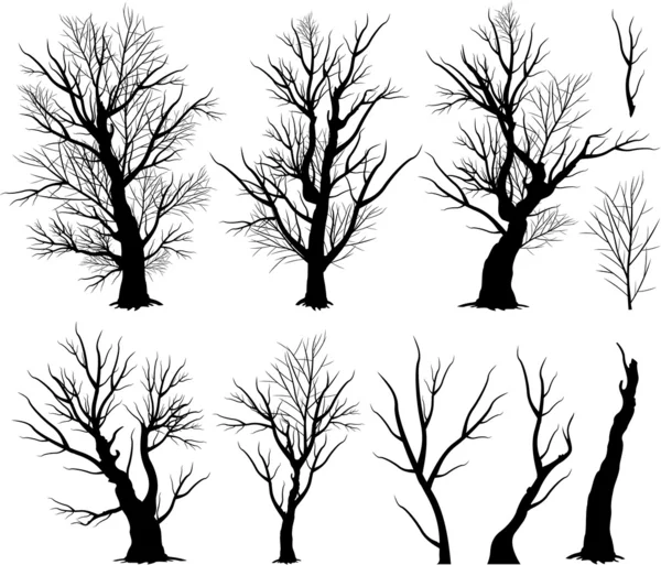 Läskiga trädet silhuetter — Stock vektor
