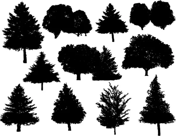 Силуэты дерева — стоковый вектор