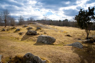 Stones on a field clipart