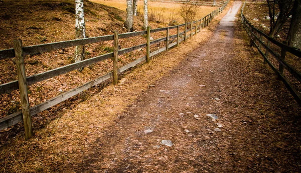 Gravel path to the forest — Stock Photo, Image
