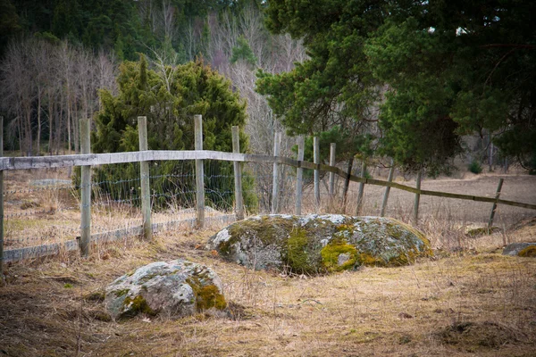 Деревянный забор на поле в Швеции — стоковое фото