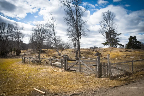Деревянные ворота на поле — стоковое фото