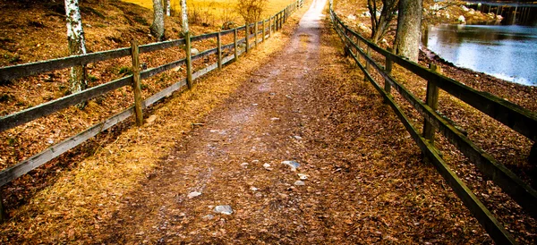 Gravel path to down the woods — Stock Photo, Image