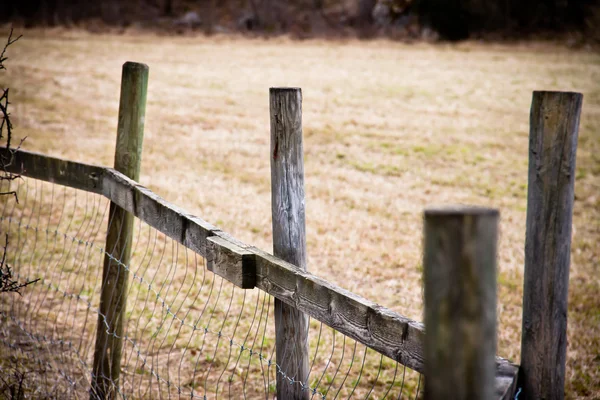 Деревянный забор на поле — стоковое фото