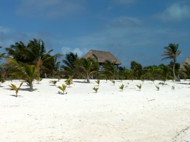 caribbean beach üzerinde inşa hut görünümü.