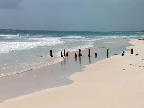 Stock image A view of the caribbean beach.