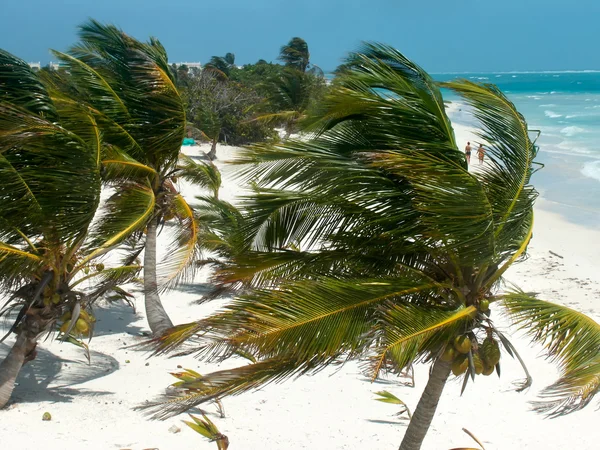 Une vue sur la plage des Caraïbes . — Photo