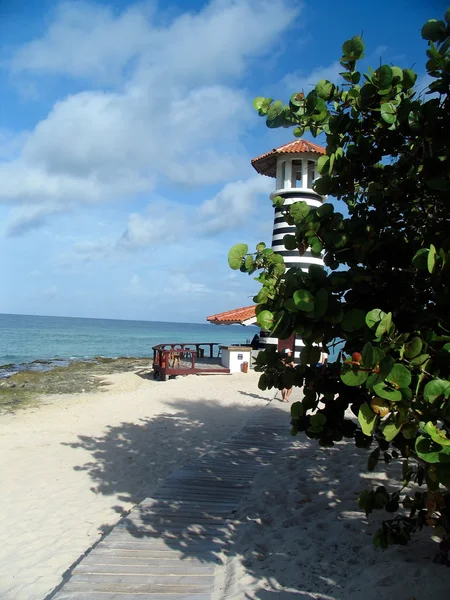 Una vista sulla spiaggia caraibica . — Foto Stock
