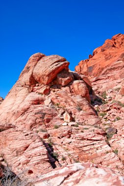 red rock Canyon mojave Çölü'nde görüntüle.