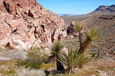 red rock Canyon mojave Çölü'nde görüntüle.