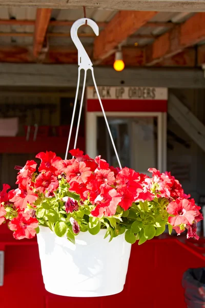 Hängande blomkruka framför skaldjursrestaurang. — Stockfoto