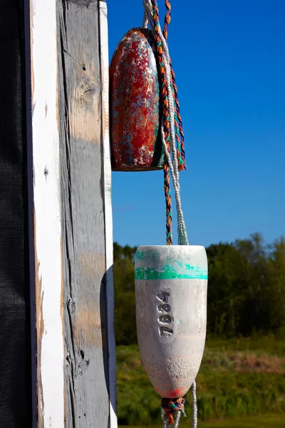 Bouys de pêche suspendus . — Photo