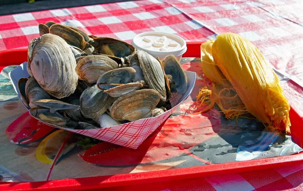 En tallrik med musslor. — Stockfoto